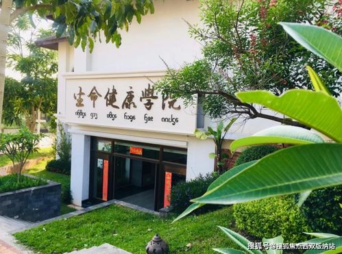 西双版纳勐巴拉 您的终身健康管理专家，安一个健康家